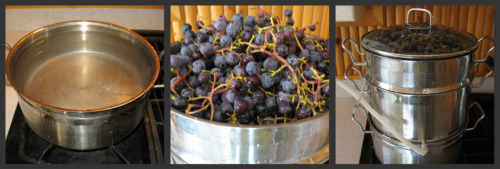 http://www.provident-living-today.com/images/Putting-Grapes-in-Steamer-Juicer.jpg